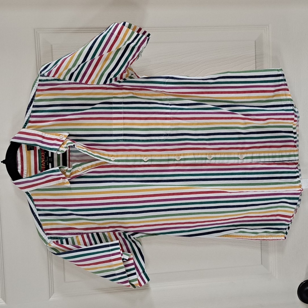 Multicolor Striped Men's Shirt